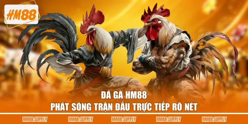 Đá gà HM88 phát sóng trận đấu trực tiếp rõ nét