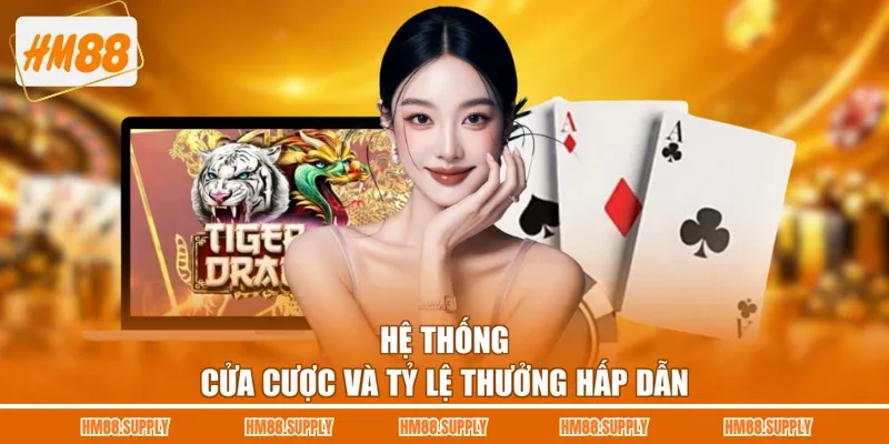 Hệ thống cửa cược và tỷ lệ thưởng hấp dẫn