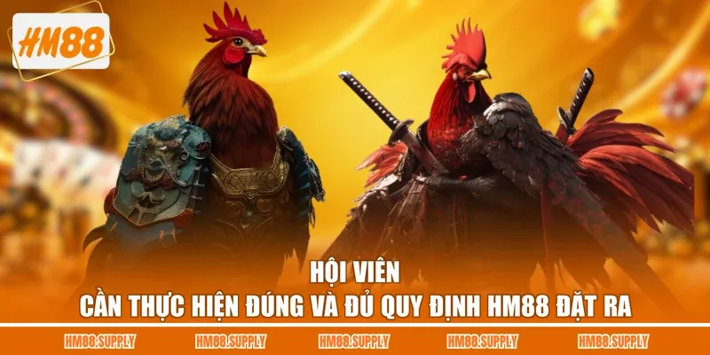 Hội viên cần thực hiện đúng và đủ quy định HM88 đặt ra