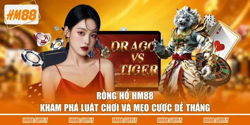 Rồng Hổ HM88 - Khám Phá Luật Chơi Và Mẹo Cược Dễ Thắng