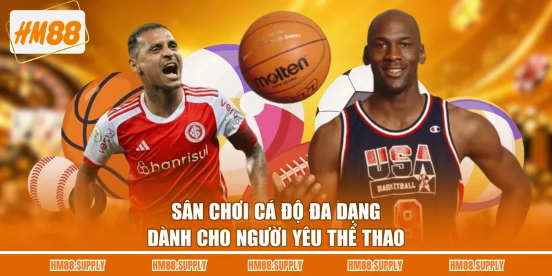 Sân chơi cá độ đa dạng dành cho người yêu thể thao