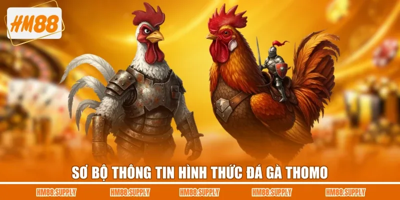 Sơ bộ thông tin hình thức đá gà Thomo 