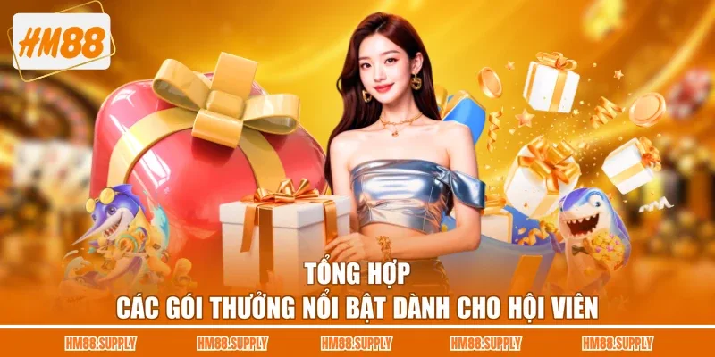 Tổng hợp các gói thưởng nổi bật dành cho hội viên