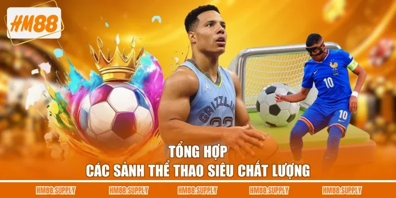 Tổng hợp các sảnh thể thao siêu chất lượng